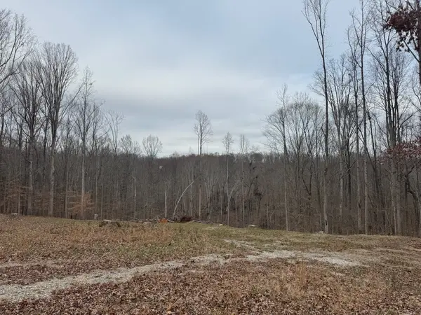 1251 Mount Pleasant Rd, Kingston Springs, TN 37082