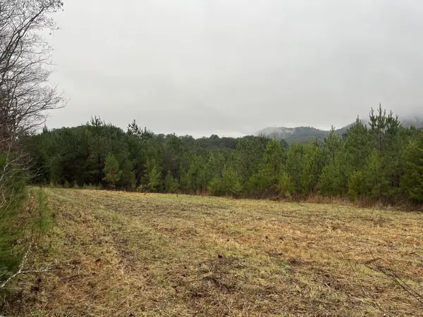 227 Mcallister Road, Copperhill, TN 37317
