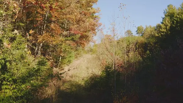 410 Seay Hollow Road, Del Rio, TN 37727