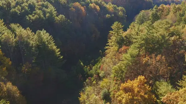 410 Seay Hollow Road, Del Rio, TN 37727