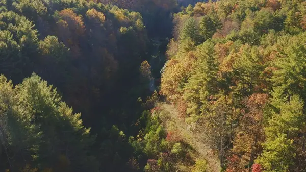410 Seay Hollow Road, Del Rio, TN 37727