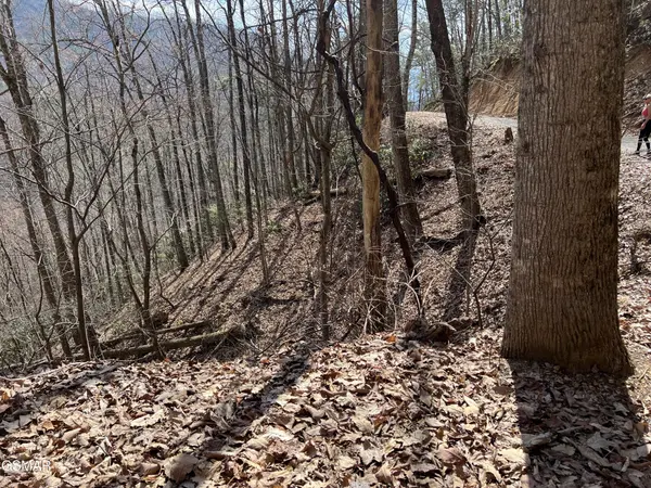 26 Aintree Drive, Sevierville, TN 37876