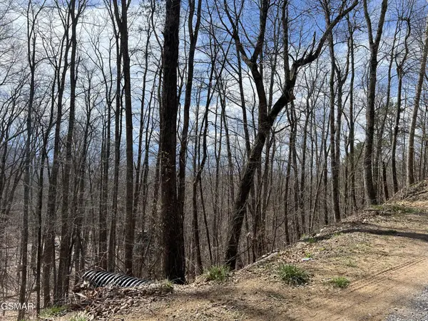 18 Clingmans View, Sevierville, TN 37876