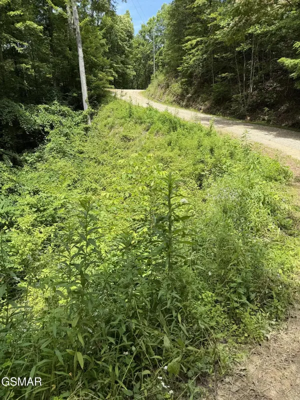 56 Butternut Lane, Sevierville, TN 37876