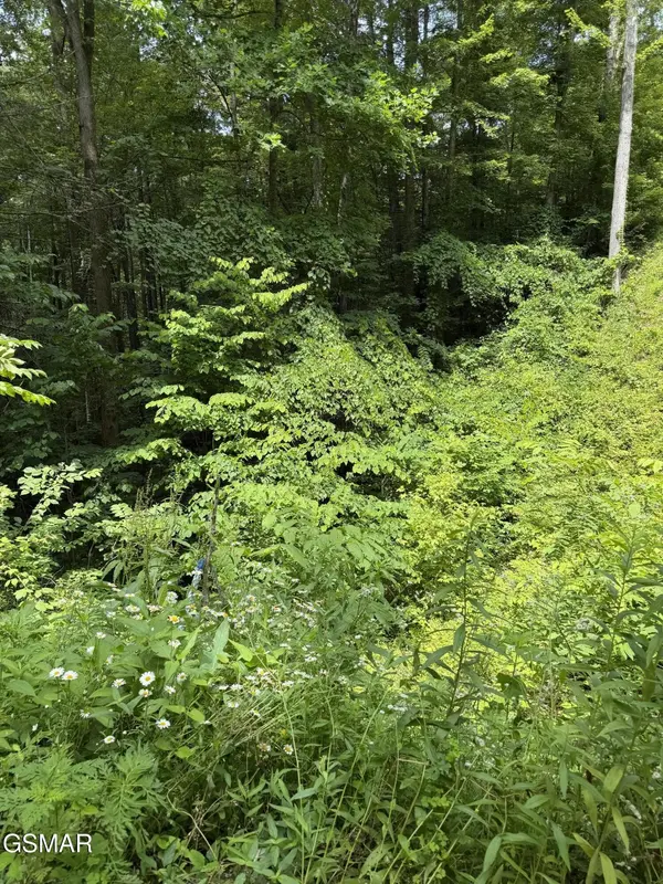 56 Butternut Lane, Sevierville, TN 37876