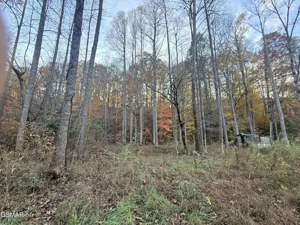 4243 Deerfoot Road, Newport, TN 37821