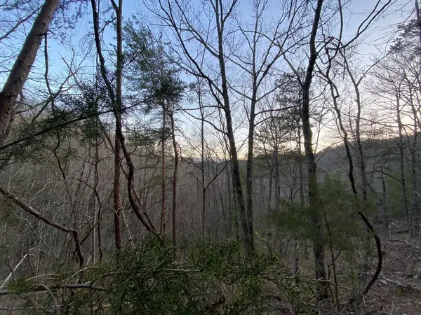 46 Beechwood Street, Sevierville, TN 37876