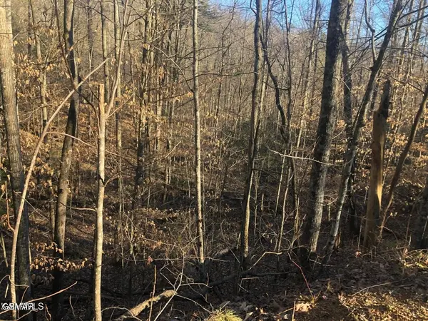 68 Yellowwood Drive, Sevierville, TN 37876