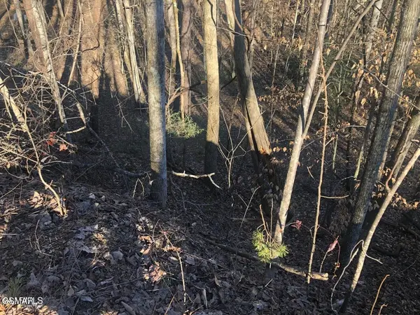 68 Yellowwood Drive, Sevierville, TN 37876