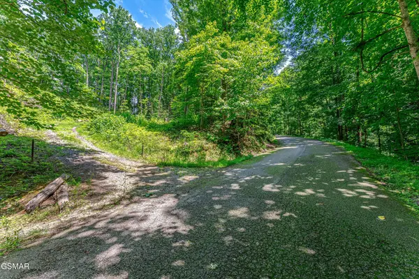 229 Sonshine Ridge Road, Cosby, TN 37722