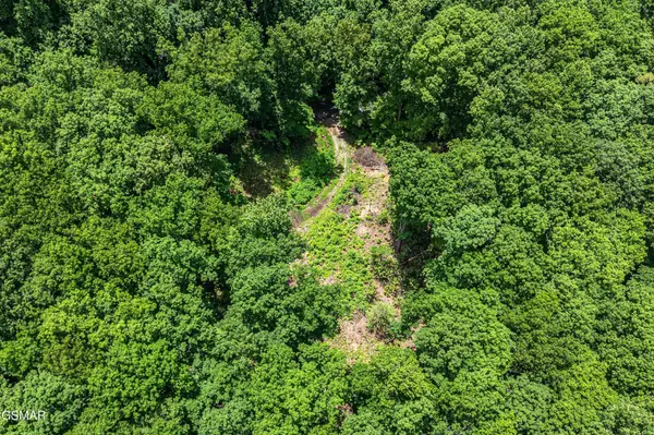 229 Sonshine Ridge Road, Cosby, TN 37722