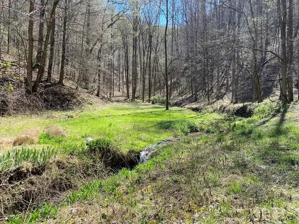 0 Valley Springs Way, Sevierville, TN 37862