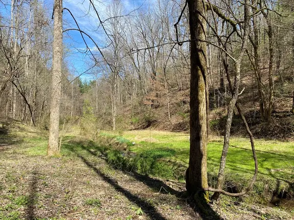 0 Valley Springs Way, Sevierville, TN 37862