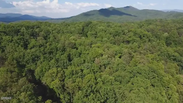 202122 Fox Hunters Lane, Sevierville, TN 37876