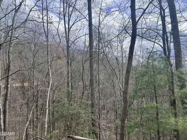5554 71 Yellowwood Drive, Sevierville, TN 37876