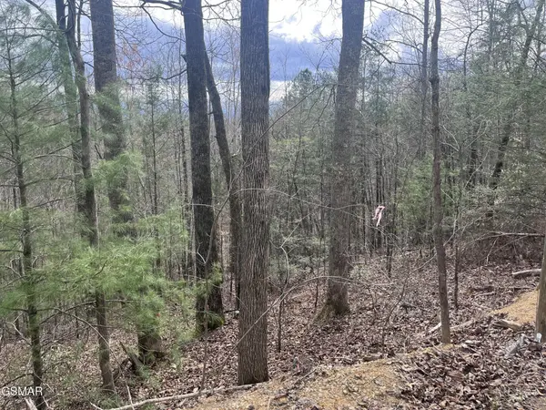 5554 71 Yellowwood Drive, Sevierville, TN 37876