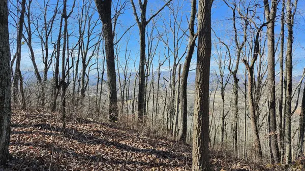 0 Rector Road, Jasper, TN 37347
