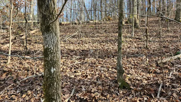 0 Rector Road, Jasper, TN 37347