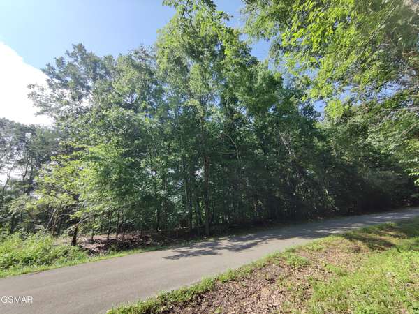 3347 Mountain View Lane, Baneberry, TN 37890