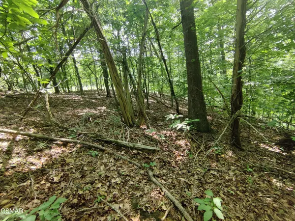 3347 Mountain View Lane, Baneberry, TN 37890