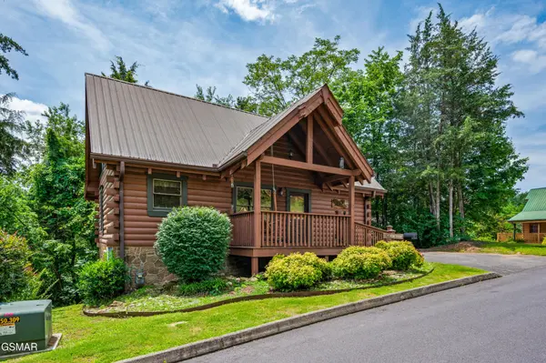 242 Alpine Mountain Way, Pigeon Forge, TN 37863