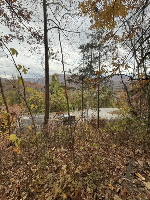 278 Greystone Heights Road, Gatlinburg, TN 37738