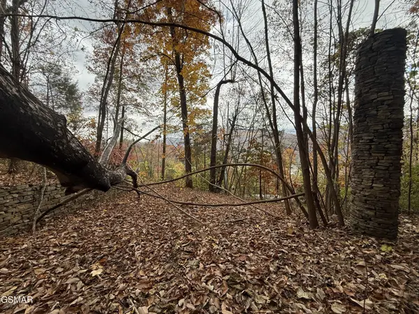 278 Greystone Heights Road, Gatlinburg, TN 37738