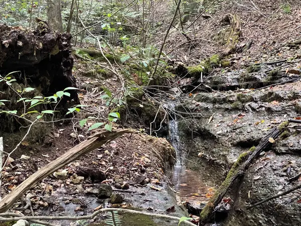 0 McClanahan Rd, Hampshire, TN 38461