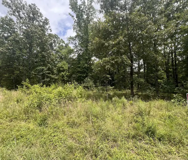 4 Lake View Drive, Linden, TN 37096