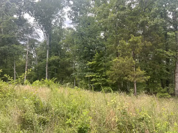 4 Lake View Drive, Linden, TN 37096