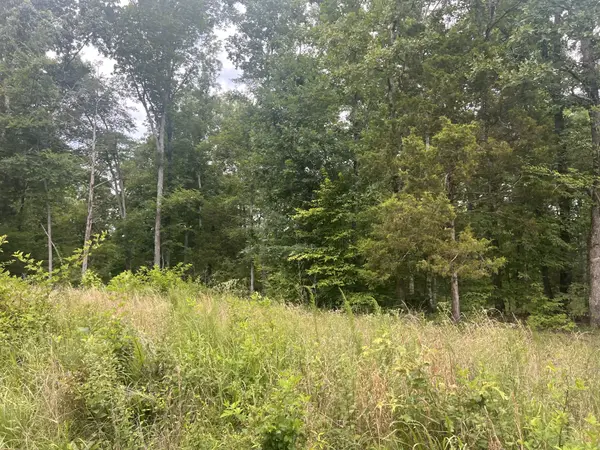 2 LakeView Drive, Linden, TN 37096