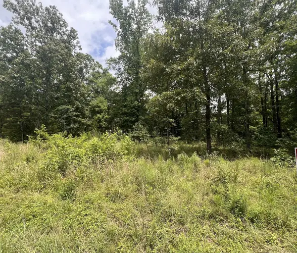 2 LakeView Drive, Linden, TN 37096