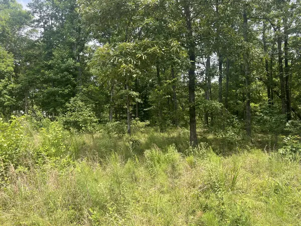 3 LakeView Drive, Linden, TN 37096