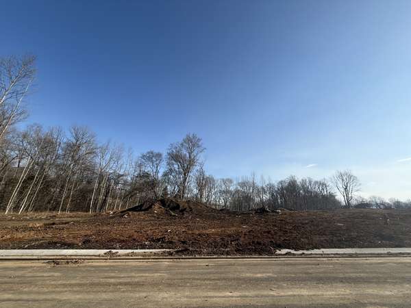 6208 Creole Lane, Arrington, TN 37014