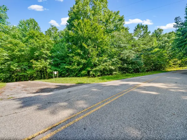 0 Forest Trail, Bumpus Mills, TN 37028