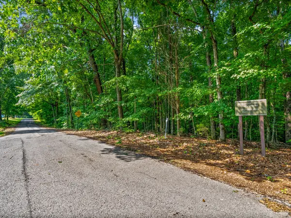 0 Forest Trail, Bumpus Mills, TN 37028