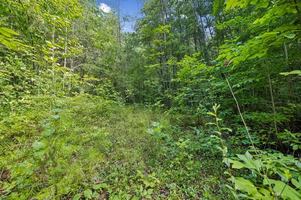 0 Ridge Road, Lancing, TN 37770