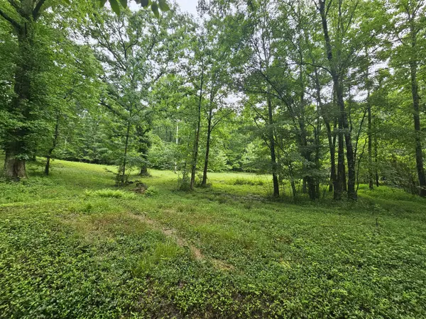 2411 SR 56, Tracy City, TN 37387