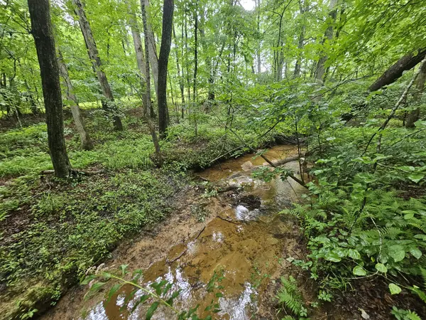 2411 SR 56, Tracy City, TN 37387