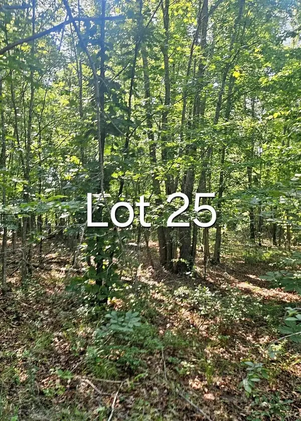 0 0 Aerie Lake Circle, Summertown, TN 38483