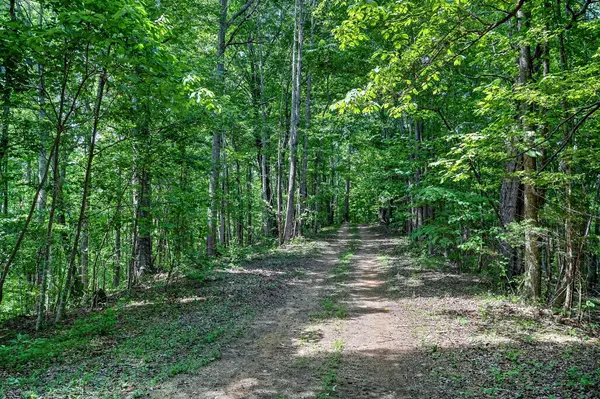 2926 Bryant Ridge Rd, Baxter, TN 38544