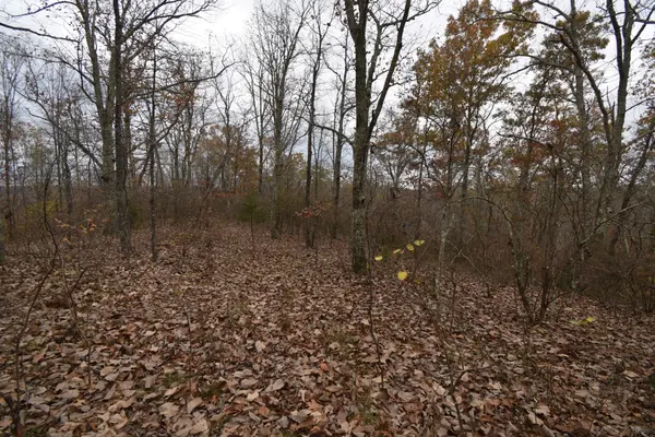 0 Depriest Bend Dr, Lobelville, TN 37097