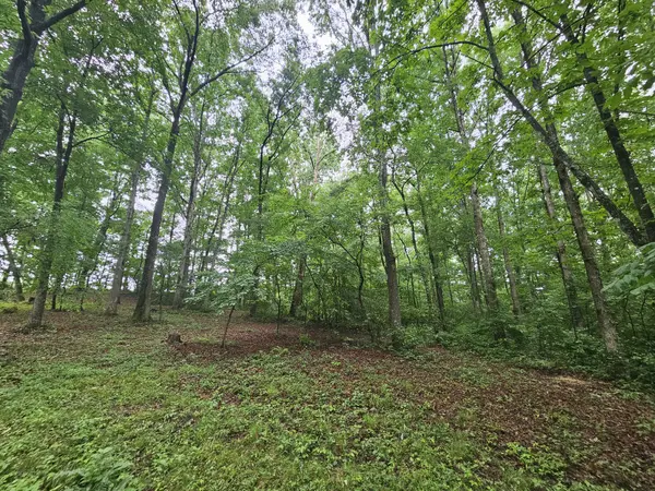 2411 SR 56, Tracy City, TN 37387