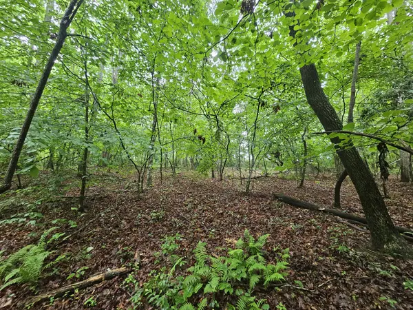2411 SR 56, Tracy City, TN 37387