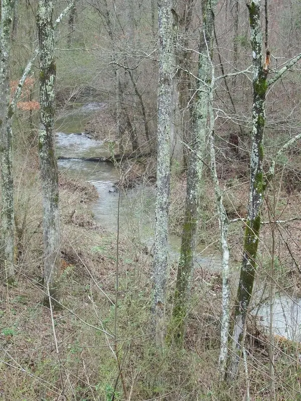 0 Main St, Palmer, TN 37365
