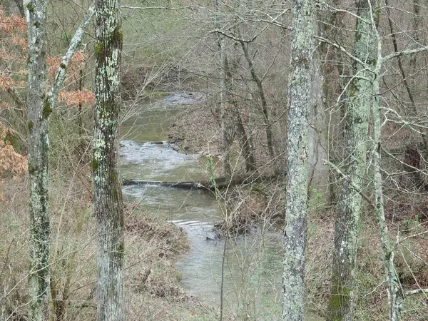 0 Main St, Palmer, TN 37365