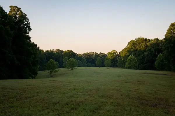 0 Shoals Branch Rd, Primm Springs, TN 38476