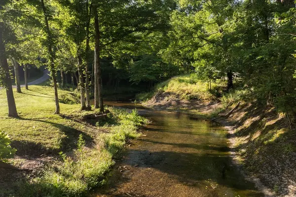 0 Shoals Branch Rd, Primm Springs, TN 38476