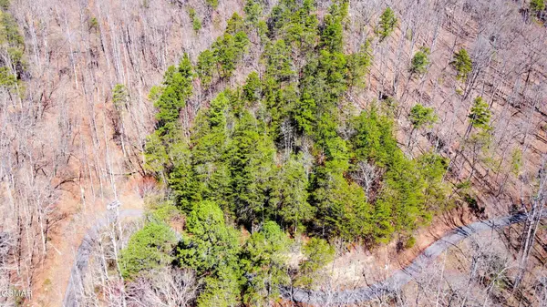 4 Walden Ridge Road, Sevierville, TN 37862