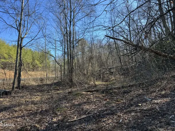 27 Blue Springs Way, Newport, TN 37821